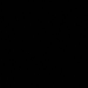 Meet your Posher, Malik